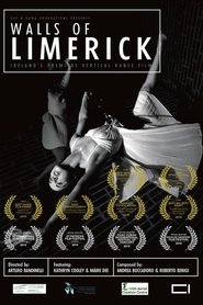 Poster Walls of Limerick 2019