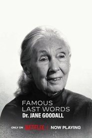 Famous Last Words (2025)