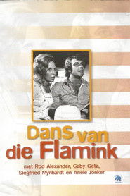 Dans van die Flamink