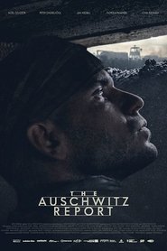 Poster for The Auschwitz Report