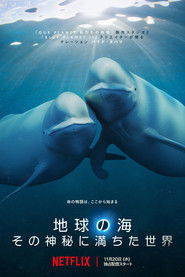 地球の海: その神秘に満ちた世界 (2024)