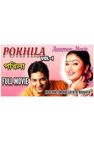 Pokhila (2008)