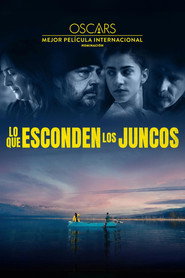 Lo que esconden los juncos