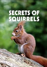 Poster Secrets of Squirrels 2018