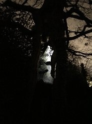 From Here to There (2020)