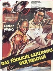 Poster Das tödliche Geheimnis der Shaolin