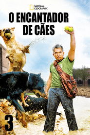 O Encantador de Cães — Temporada 3