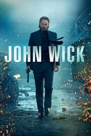 John Wick 2014 Movie BluRay Dual Audio Hindi English 480p 720p 1080p 2160p