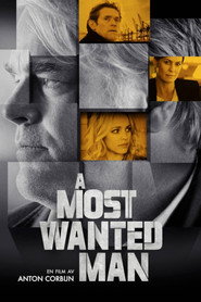 A Most Wanted Man (2014)