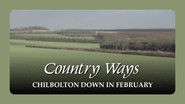Chilbolton Down in February