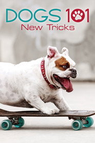 Dogs 101 постер