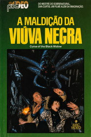 A Maldição da Viúva Negra