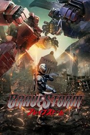 BraveStorm 2017