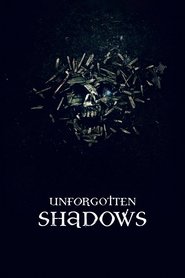 Poster Unforgotten Shadows 2013