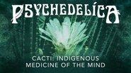 Cacti: Indigenous Medicine of the Mind