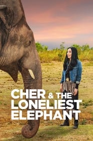 Poster Cher & the Loneliest Elephant 2021