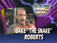 December 8, 1990 - Superstars of Wrestling 223