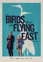 Birds Flying East постер