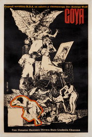 Goya – oder Der arge Weg der Erkenntnis