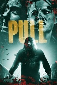 Pull постер