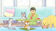 まめきちまめこニートの日常