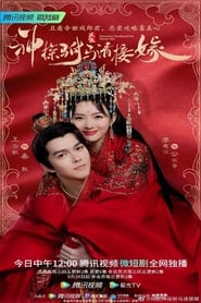 神探驸马请接嫁 poster