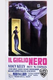 Il giglio nero 1956 blu-ray italiano doppiaggio completo full movie
botteghino ltadefinizione01 ->[720p]<-