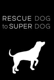 Image Rescue Dog to Super Dog