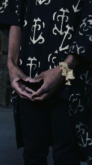 Poster Coleção Adinkra - Fashion Filme 2017