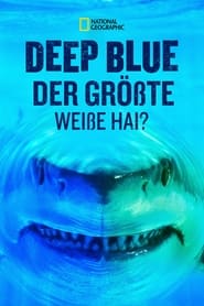 Der größte Weiße Hai? – Expedition Hawaii (2019)