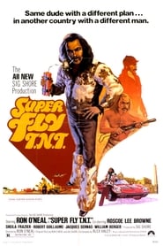 Super Fly T.N.T. (1973)