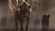 Le Roi Lion