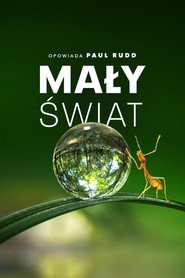 Tiny World Season 1 16
