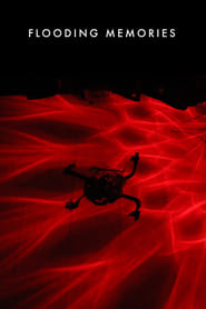 Flooding Memories movie poster