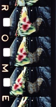 Poster Malik 1977