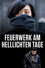 Feuerwerk am helllichten Tage (2014)