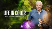 David Attenborough: Az élet színei