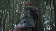 The strangers 