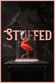Poster Stuffed 2019