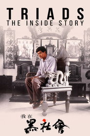 Triads: The Inside Story poster
