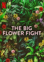 The Big Flower Fight Sezonul 1 Episodul 2 Online