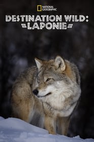 Wild Lapland (2020)