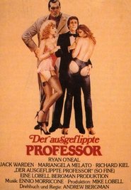 Poster Der ausgeflippte Professor