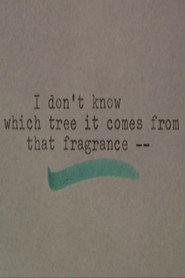 I Don't Know Which Tree It Comes From that Fragrance