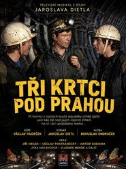 Tri krtci pod Prahou постер
