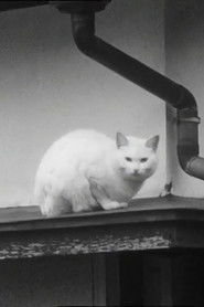 Poster Young Pines 2011