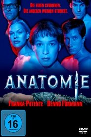 anatomie