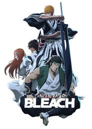 Concentrated Bleach постер