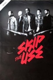 Poster Skip The Use Festival Guitare Patrimonio 2016 2016