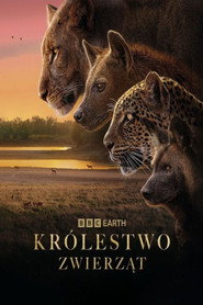 Plakat — Królestwo zwierząt